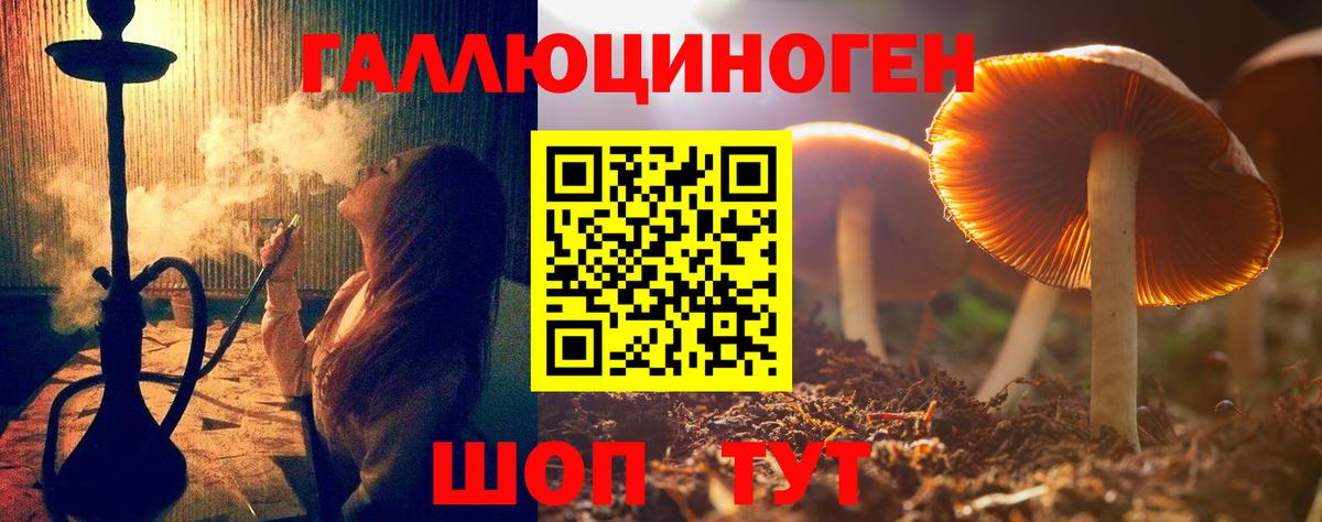 Сочи  Галлюциногенные грибы Psilocybine cubensis  Вход с VPN 